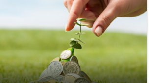 Rising Investment Rate Scenario: Rate scenario : Impact on Asset class